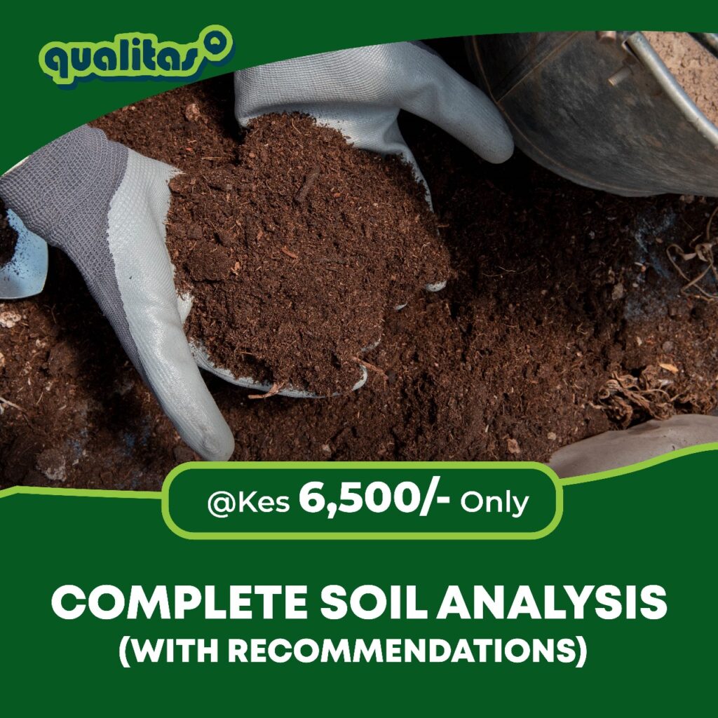 Soil visual data 3